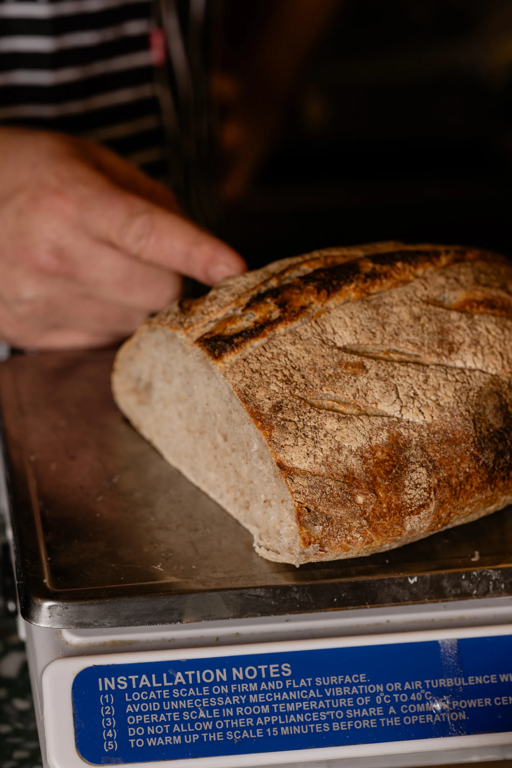Freshly baked sourdough bread